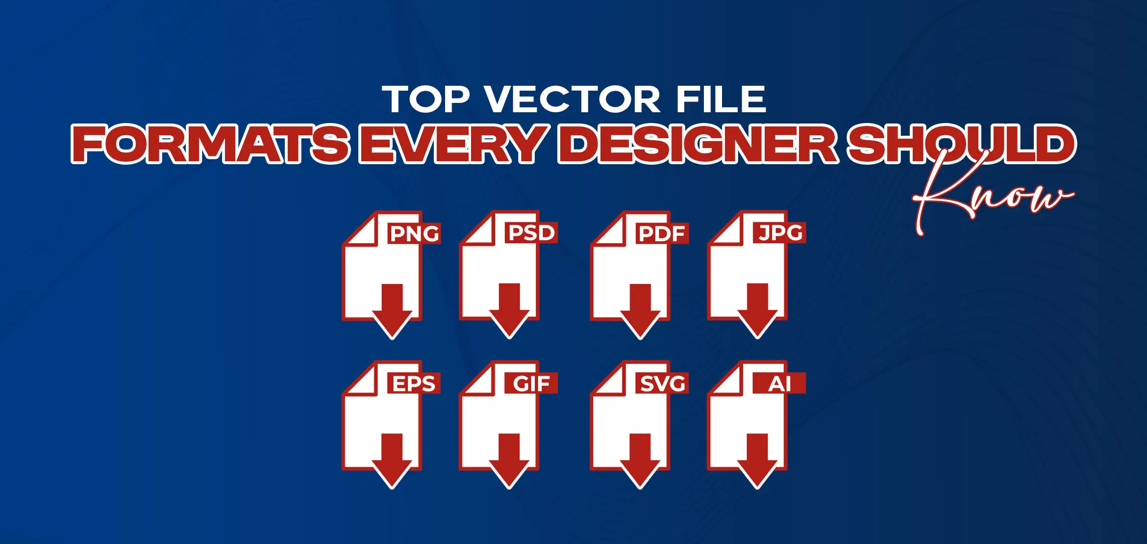 Top Vector File Formats Every Designer Should Know
