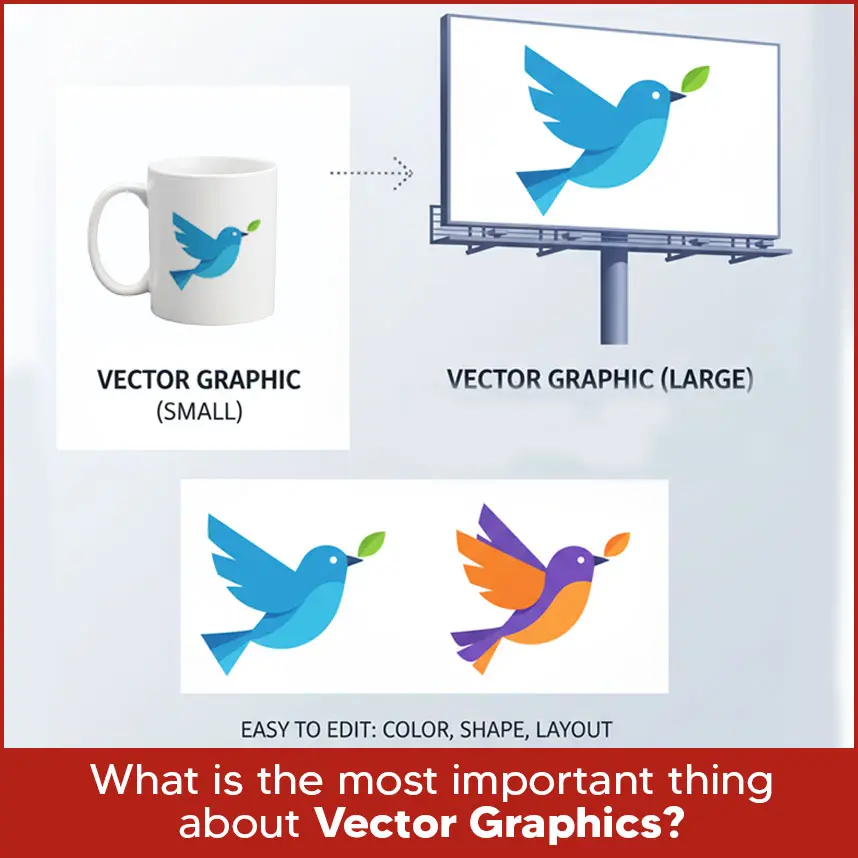 Q10: What is the most important thing about vector graphics?