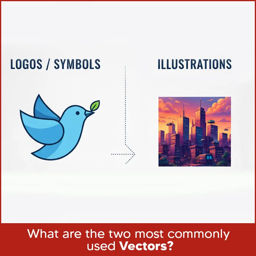 Q11: What are the two most commonly used vectors?