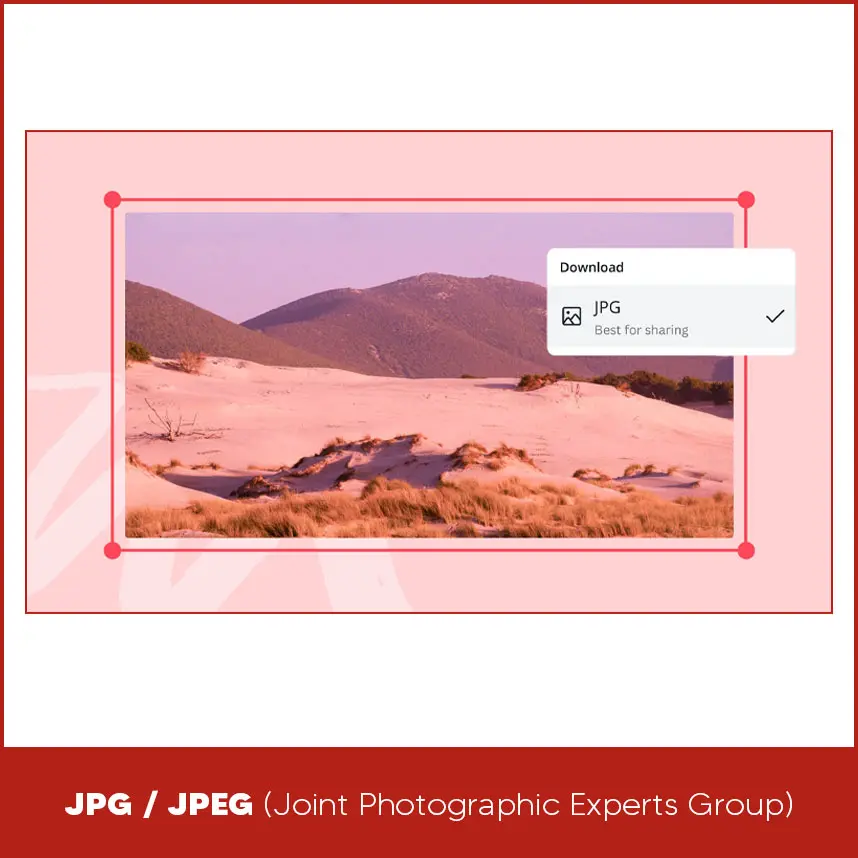 JPG / JPEG-Joint Photographic Experts Group