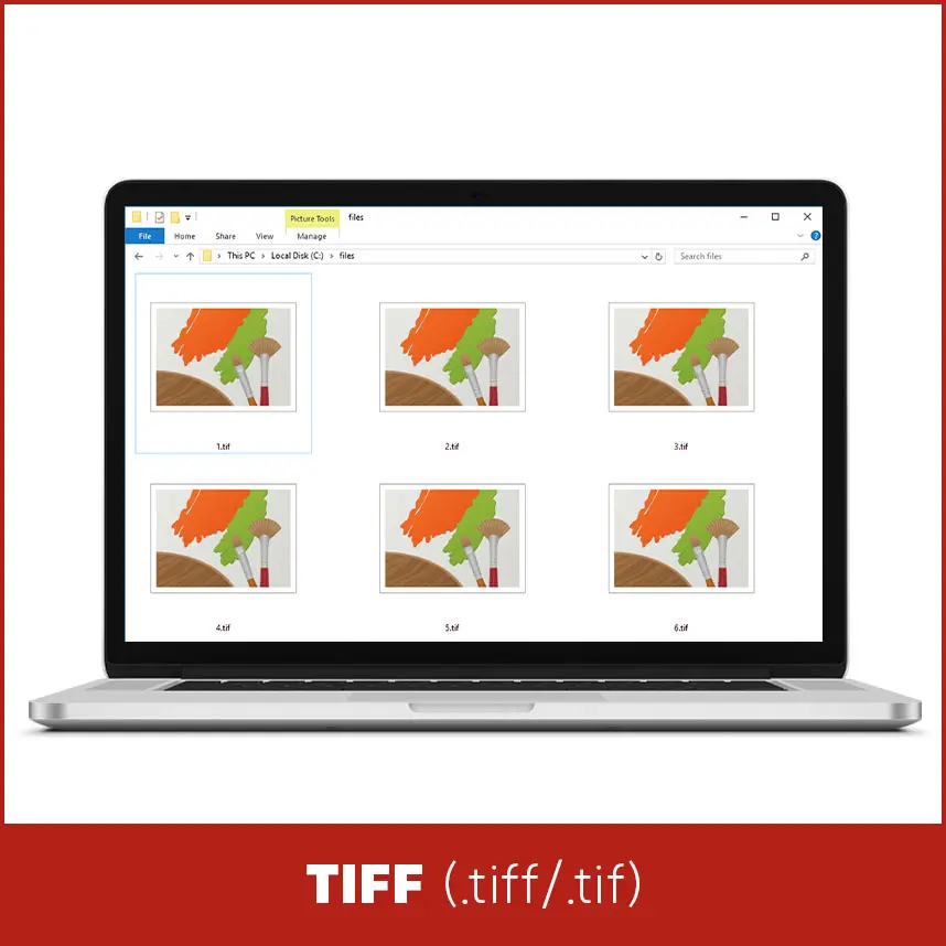 TIFF - TIFF / TIF